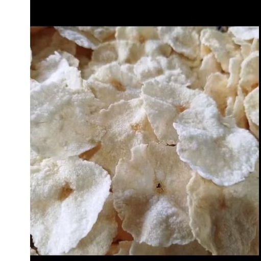 EMPING GARUT 500GRAM (BUKAN MELINJO) EMPING GARUT MENTAH