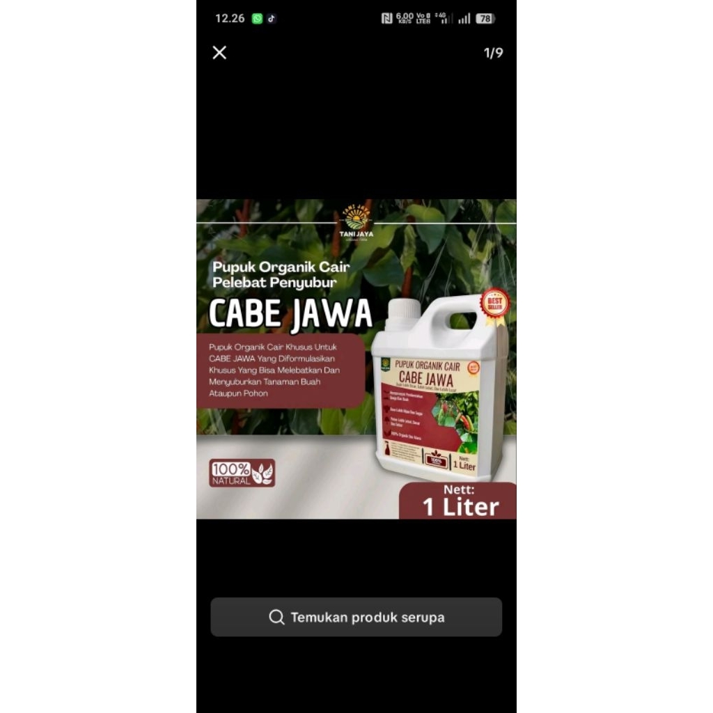 penyubur tanaman cabe jamu