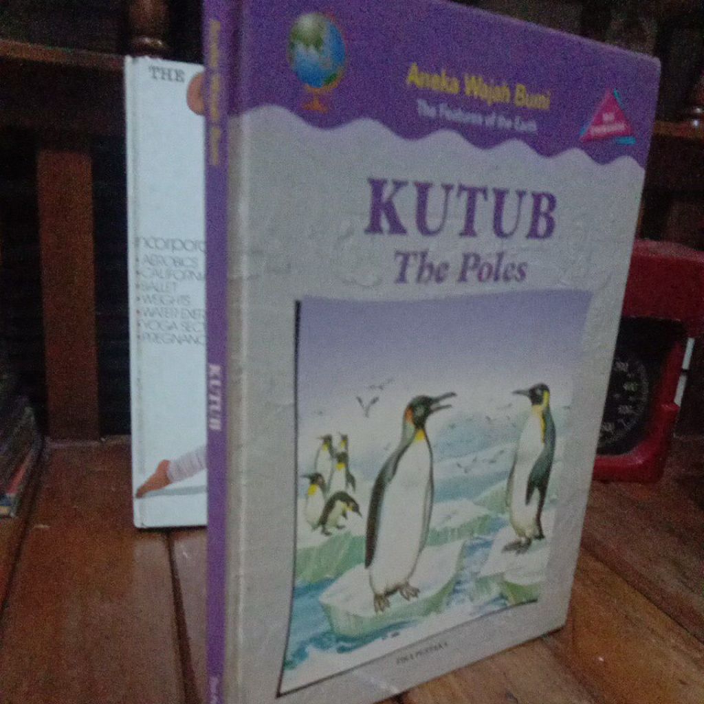ANEKA WAJAH BUMI _ TIRA PUSTAKA