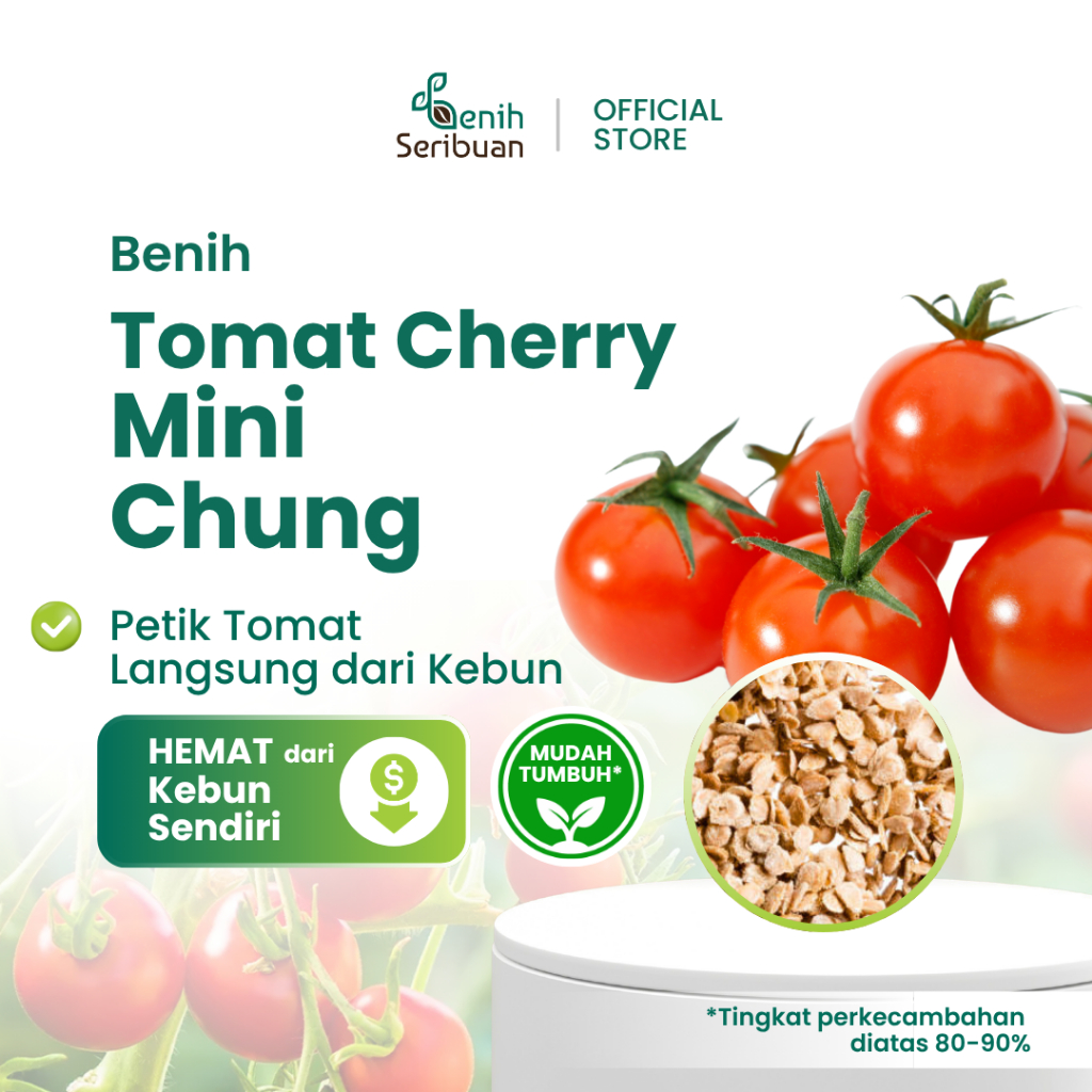 25 Bibit Tomat Cherry Merah Mini Chung Benih Sayuran Rampai Chery Tanaman Sayur Hias Ceri Buah Cerry