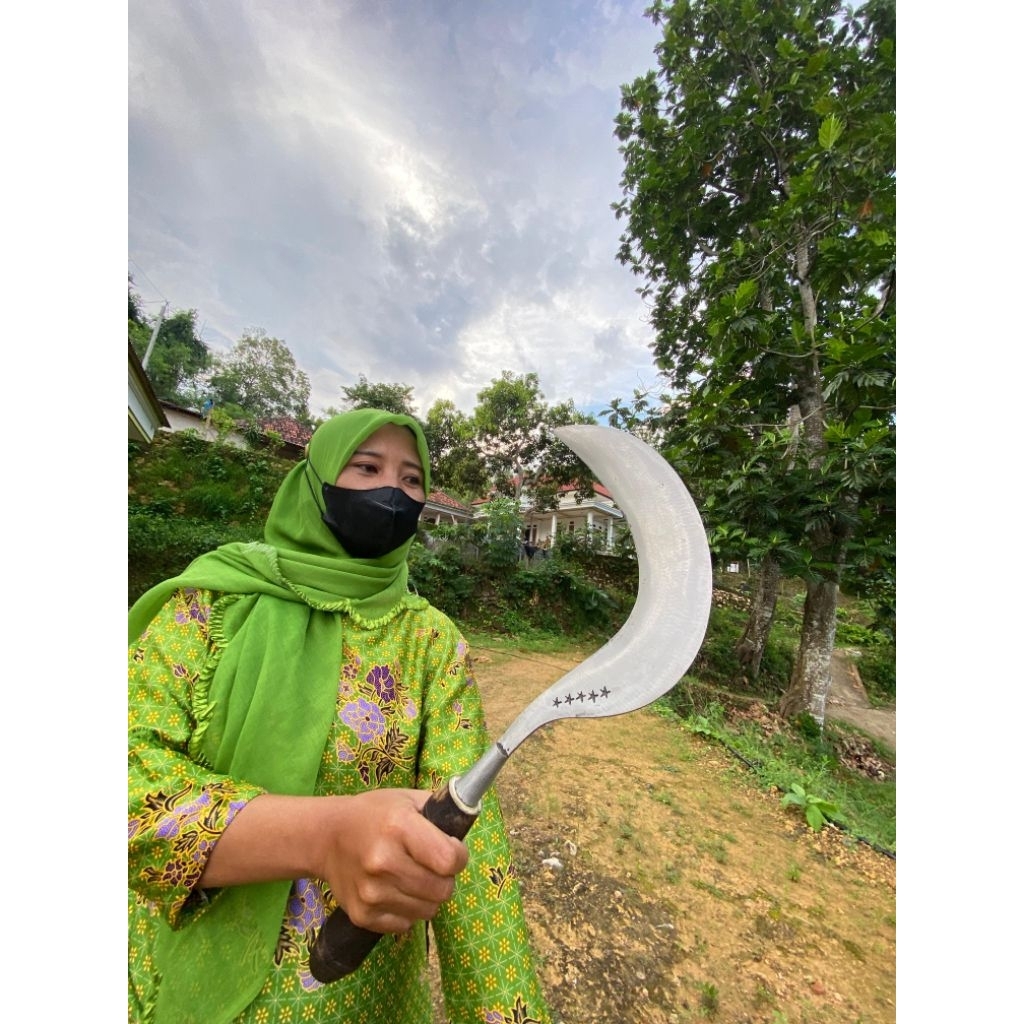 arit rumput arit bintang lima asli madura