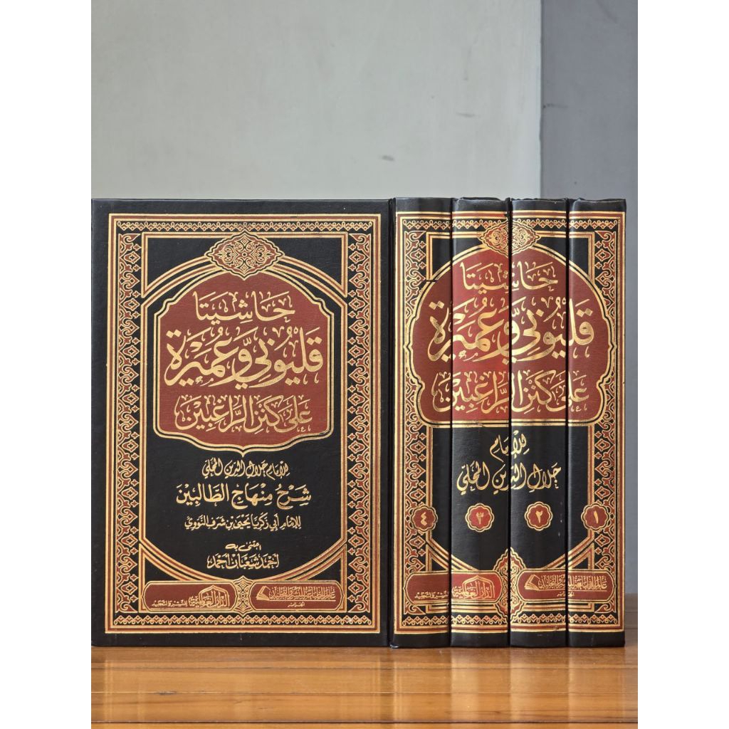 HASYIYAH QULYUBI WA UMAIROH KANZUR ROGHIBIN 4 JILID ADDARUL ALAMIYAH | AL MAHALLI QOLYUBI QULYUBI MA