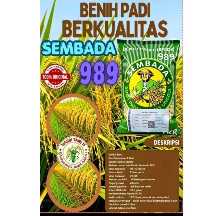 BENIH PADI SEMBADA 989 BERKUALITAS KEMASAN 1KG