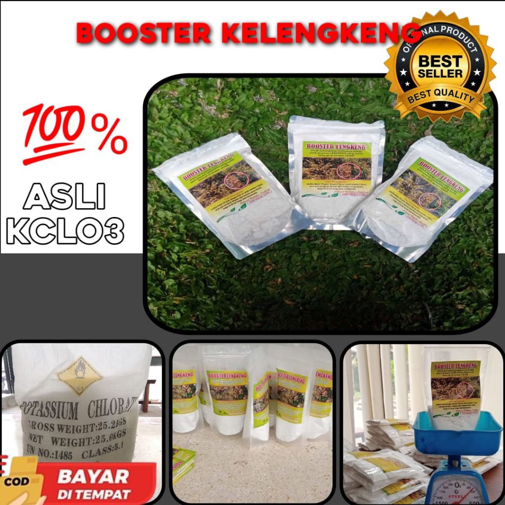 TERBUKTI AMPUH  Boster Kelengkeng Buat Kelengkeng, Boster Kelengkeng Cair, Boster Kelengkeng Itoh