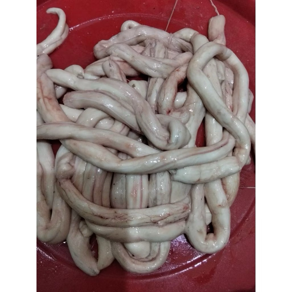 Otot sapi premium