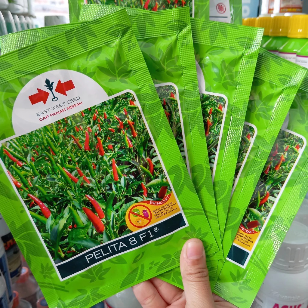 Benih cabe rawit pelita 8 f1 cap panah merah