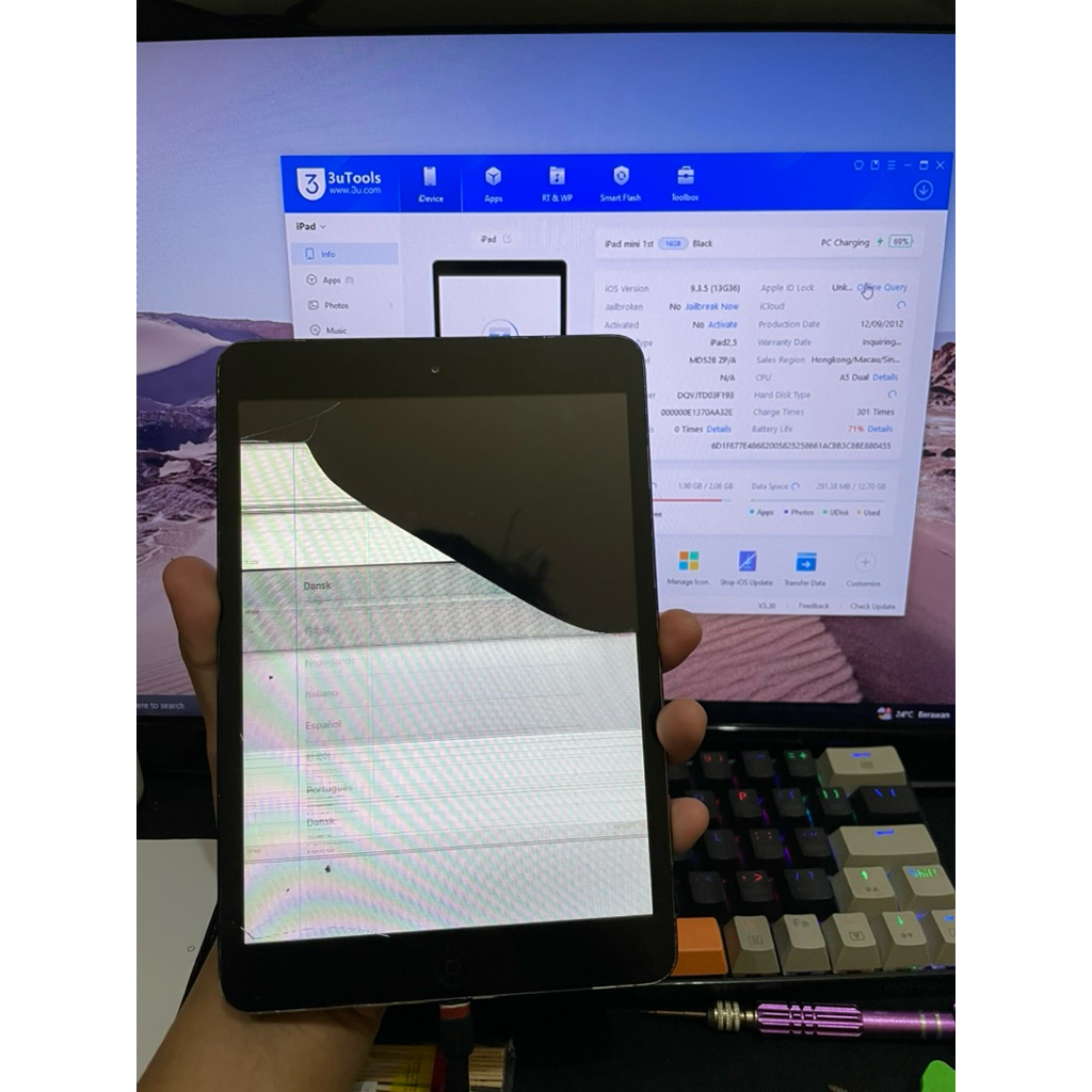 iPad Mini 1 (LOCK ICLOUD & NYALA)