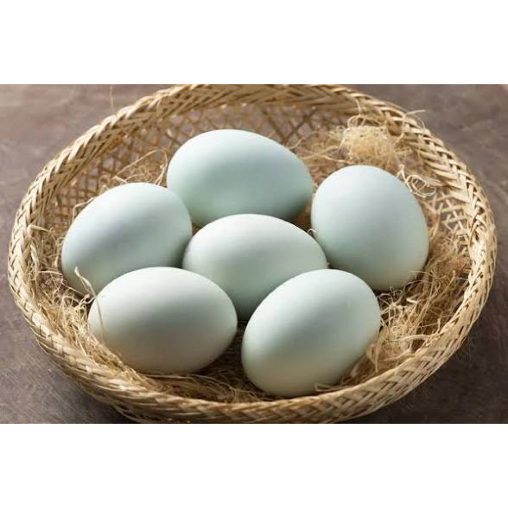 Telur bebek mentah
