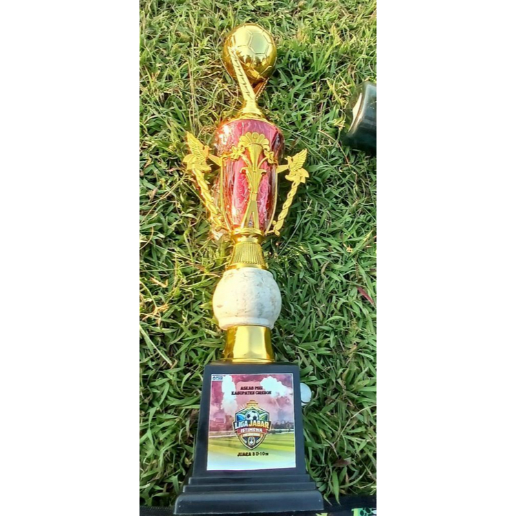 CUSTOM PIALA PAKAI STIKER & TANPA STIKER MURAH