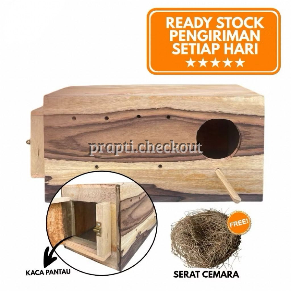 Glodok Falk Sunconure Nuri Kaca Glodok Kaca Glodok pantau falk nuri model tangkringan stick