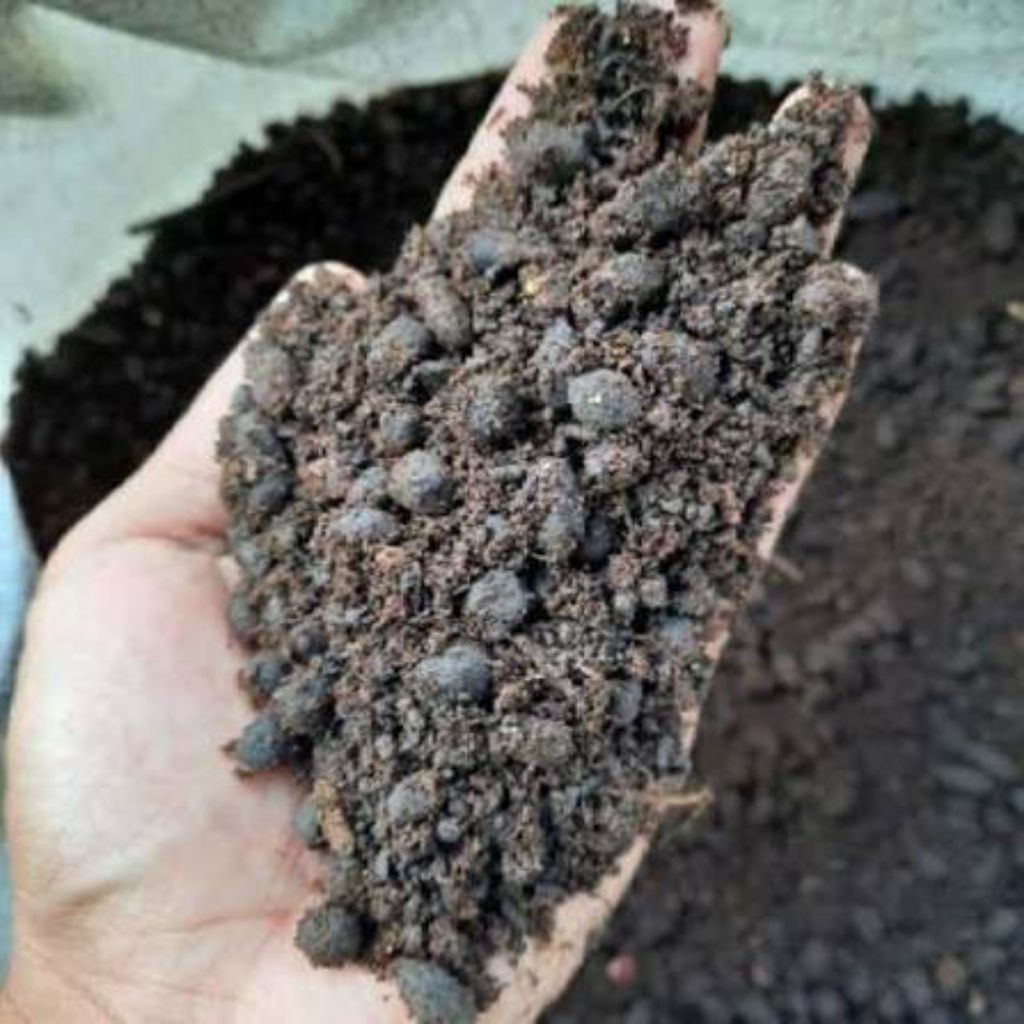 pupuk tai domba/kambing 1kg buat keperluan anda