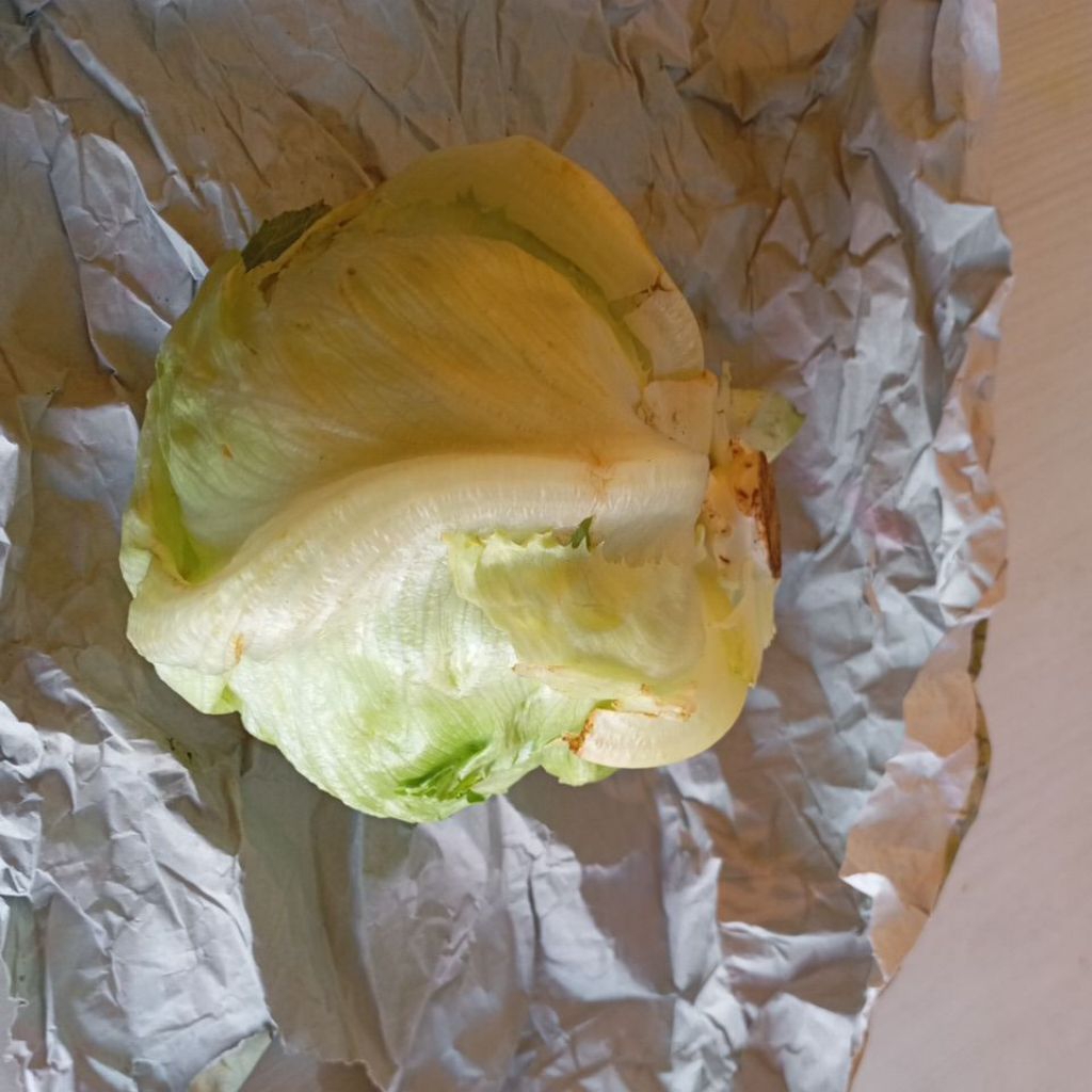 Sayur Letus Letes HedLetus / HeadLetuce segar kg