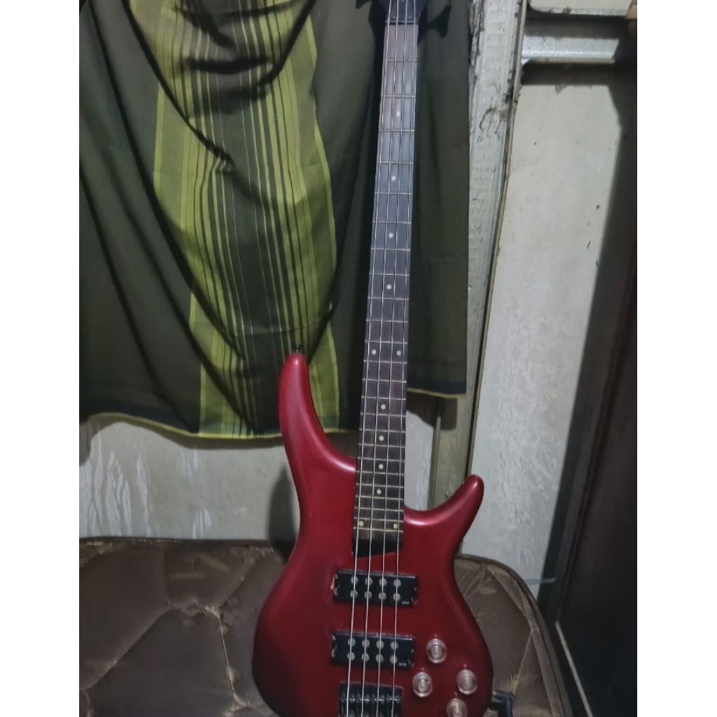 BASS SDGR