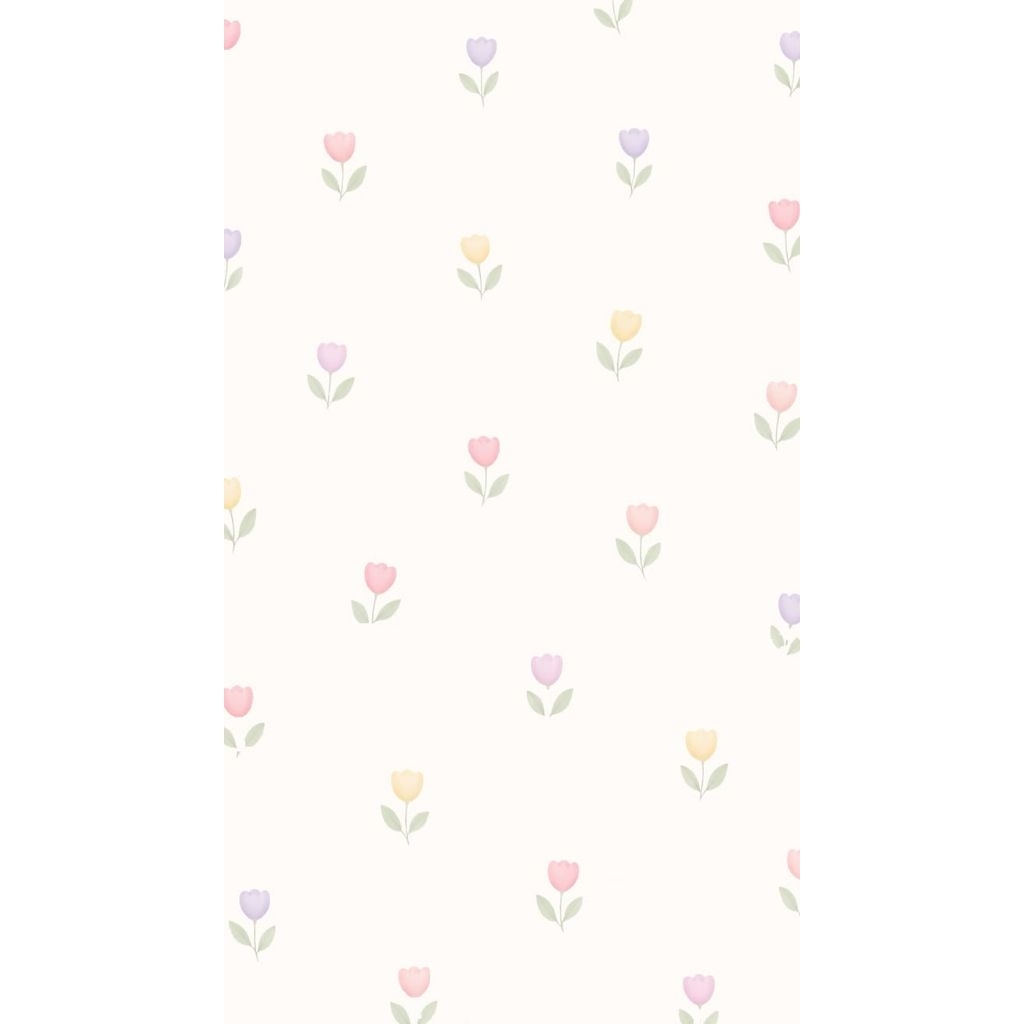 squishy take all+my melody+capybara+bulet bulet