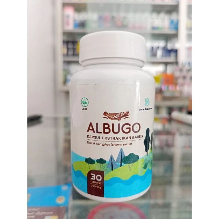 Albugo 30 Kapsul pil Ikan Gabus