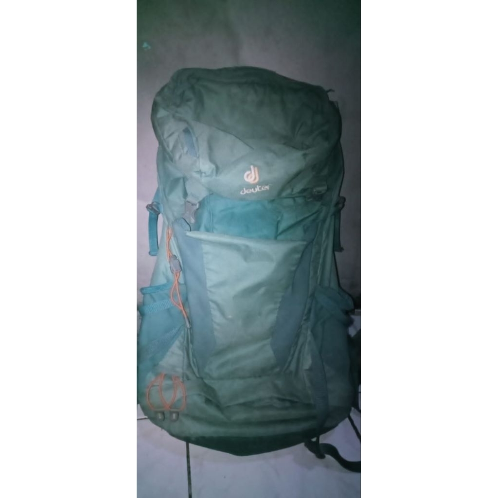 carrier Deuter