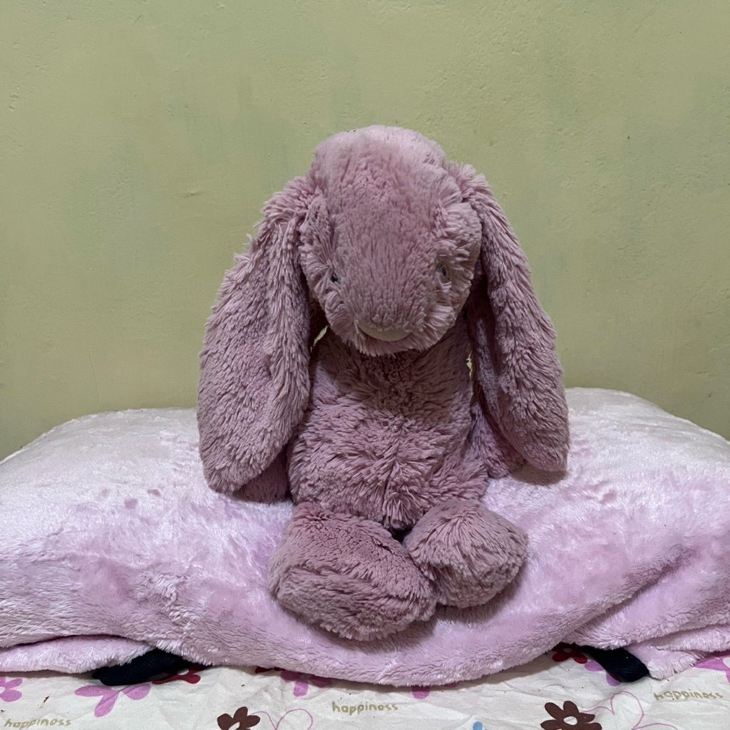 Boneka Kelinci Jellycat boneka newborn boneka kelinci lembut