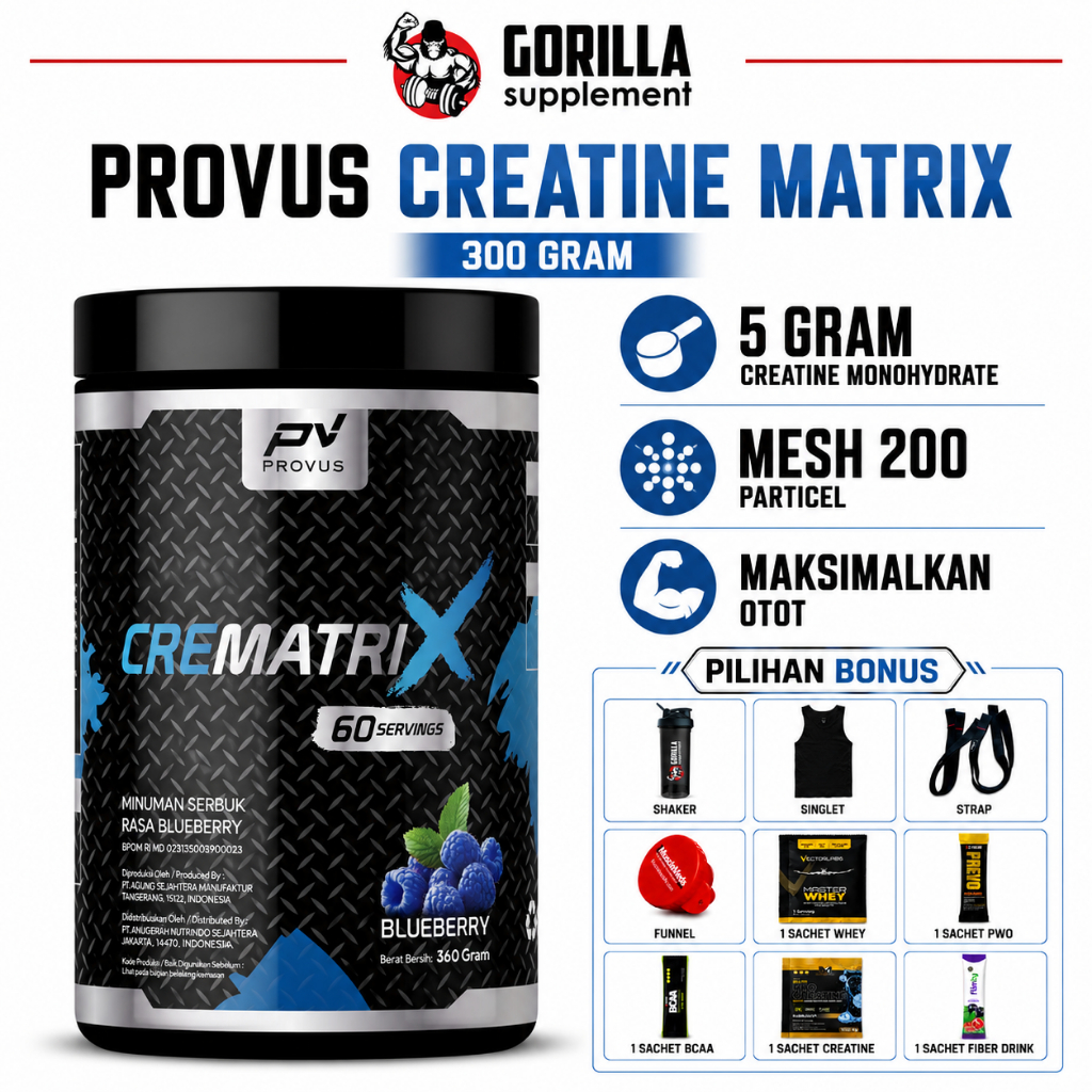 PROVUS Creatine Matrix 300 Gram gr Creatine Monohydrate Pharmagrade Mass 200 PV