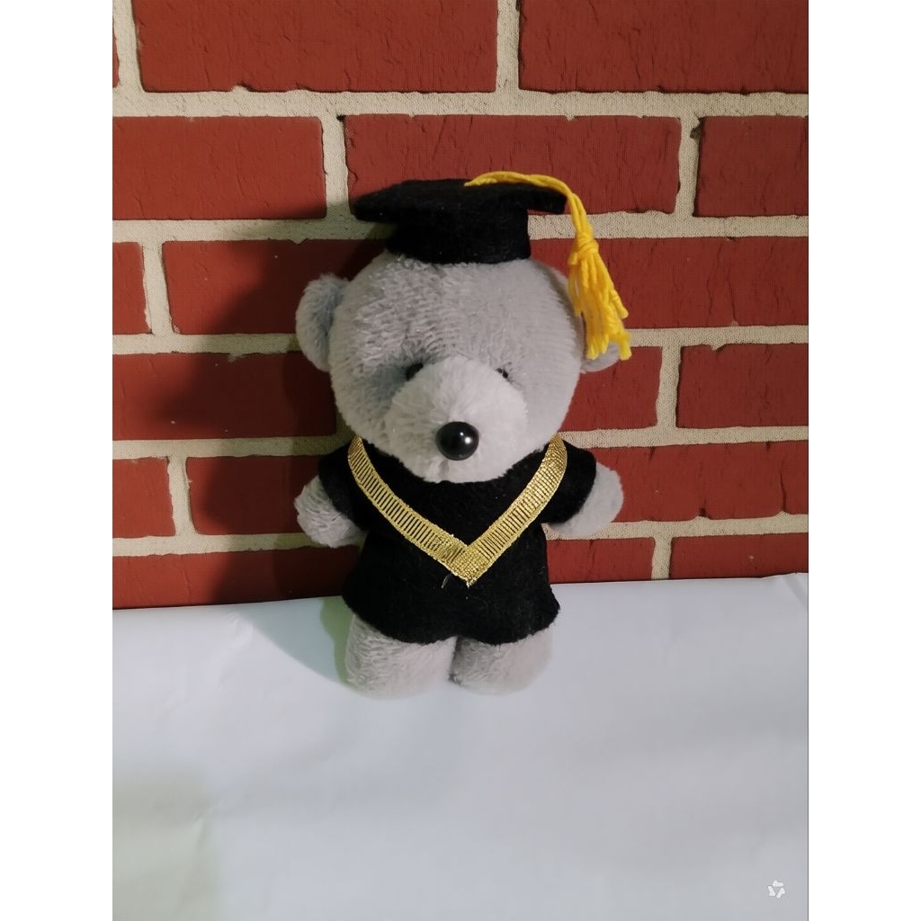 Boneka wisuda Teddy Bear Tinggi 13 CM