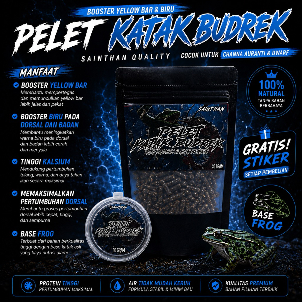 Pelet Katak Budrek untuk Channa Auranti, Andrao, Stewarti, blue pulchra, Limbata, bleheri tinggi kal