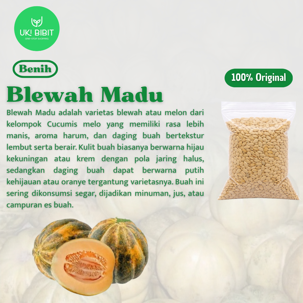 ( 10 Butir ) Benih Biji Blewah Madu | Bonteng Garbis | Cantalupensis | Blewah