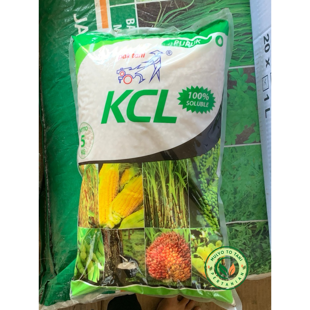 Pupuk KCL Putih Pak Tani 1kg Repack - Pemanis & Pembesar Buah