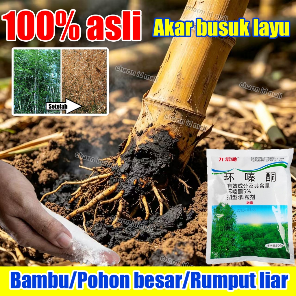 racun pohon besar paling ampuh 500g Pembasmi Rumput Liar racun pembunuh pohon besar peracun bambu ra