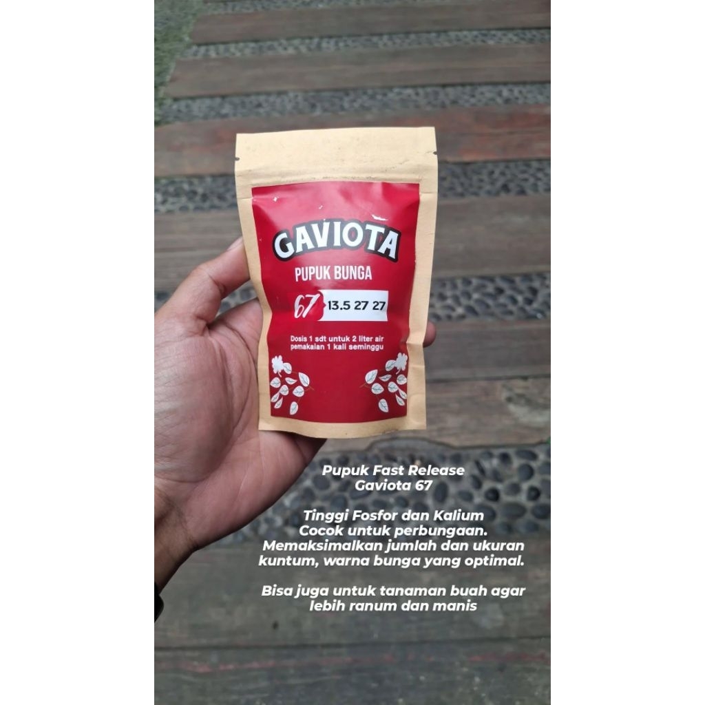 pupuk gaviota 67 berat 250 gram pembungaan