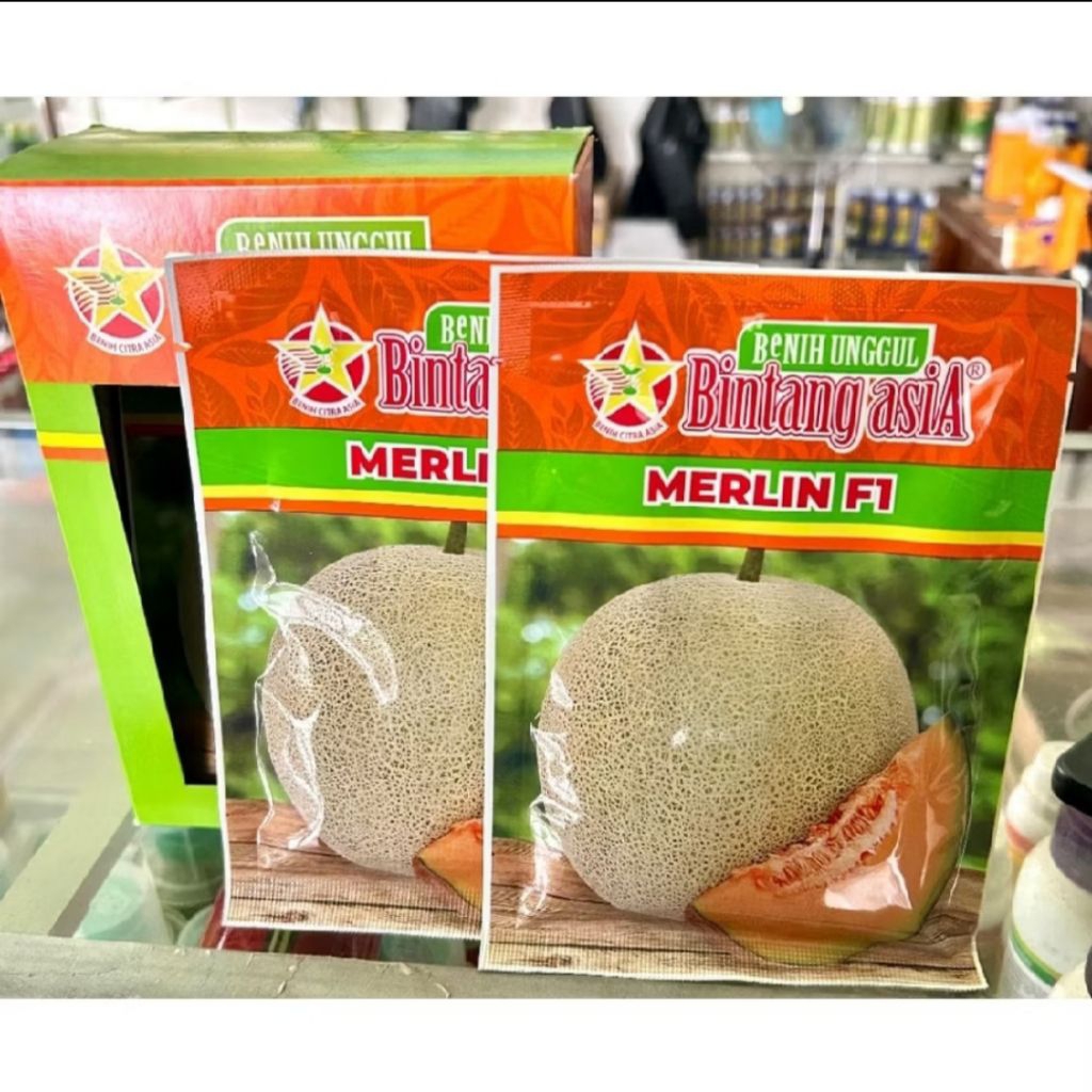 Bibit Benih MERLIN F1 (Bintang Asia) • Bibit Melon Benih Melon Bintang Asia