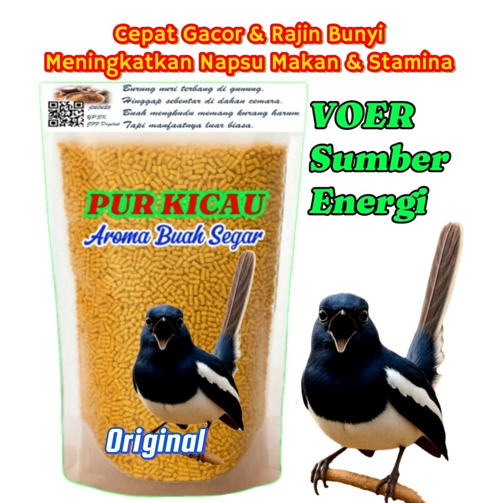 Voer Kacer. Voer Makanan Burung Kacer. Pur Kicau Kacer.