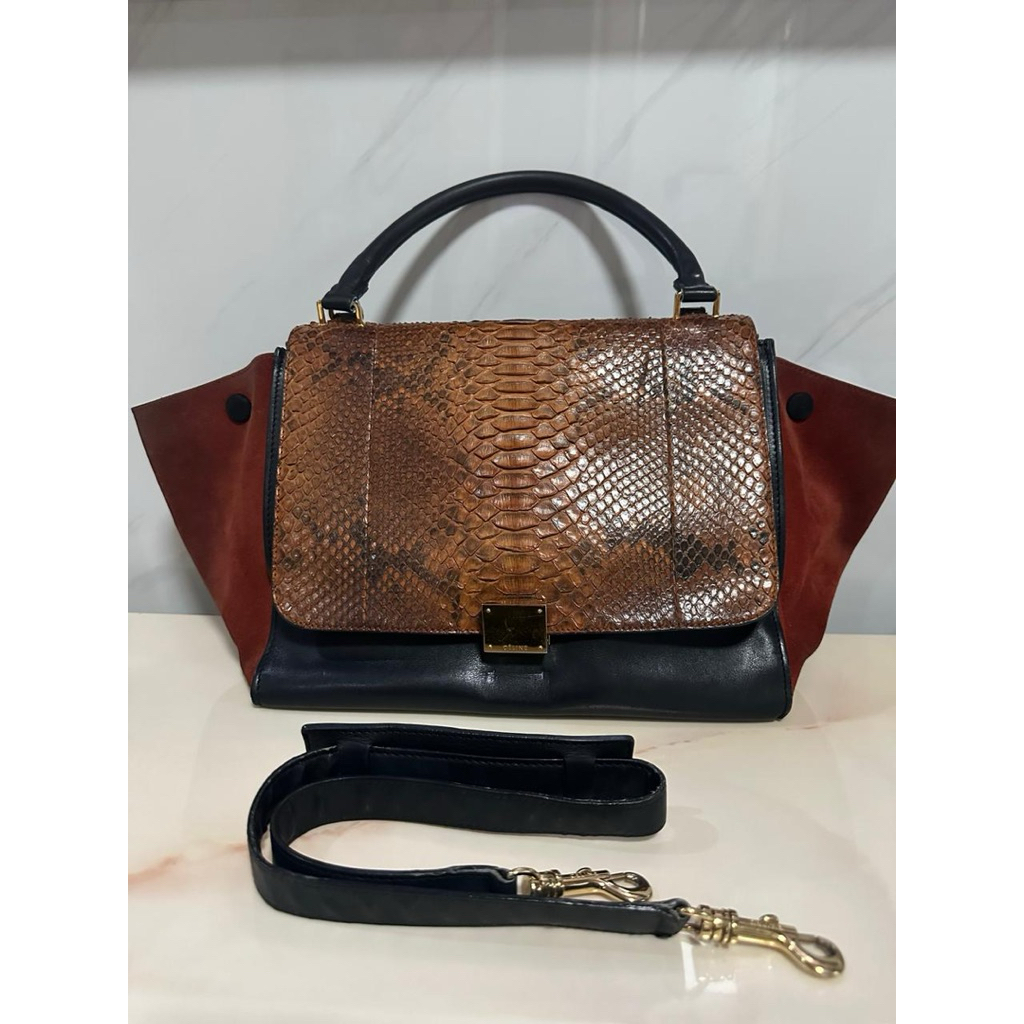 celine bag snake skin original