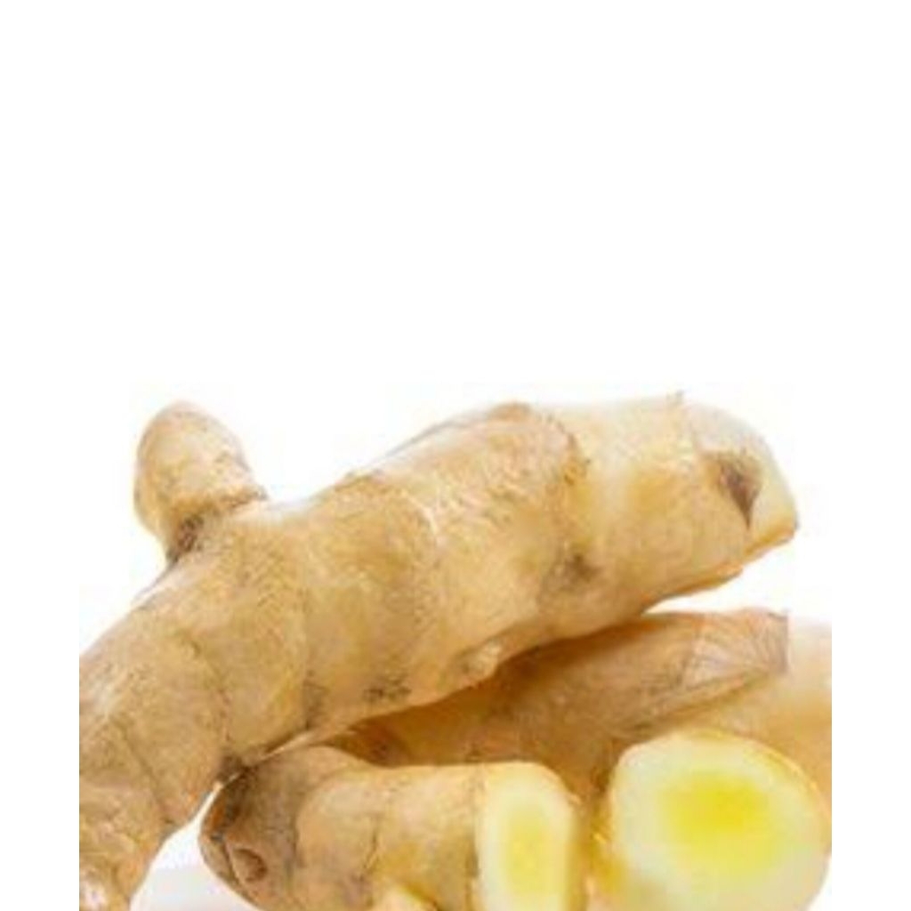 Kunyit Putih Segar 1 kg - Manfaat Kesehatan, Anti-Inflamasi, Aroma Harum