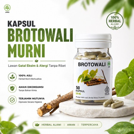 Kapsul Brotowali Obat Gatal Eksim 50 Kapsul Halal
