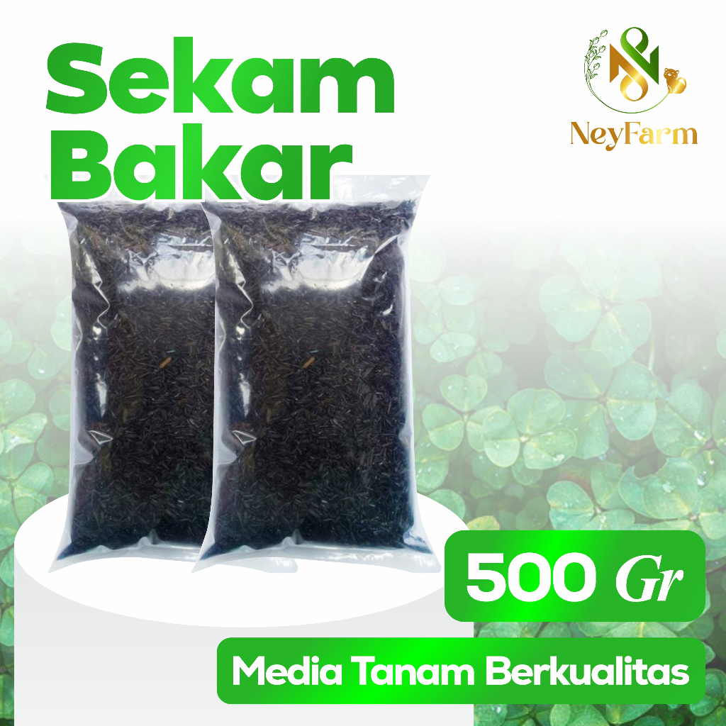 Sekam Bakar Media Tanam Sekam Arang Sekam Bakar 500 gram