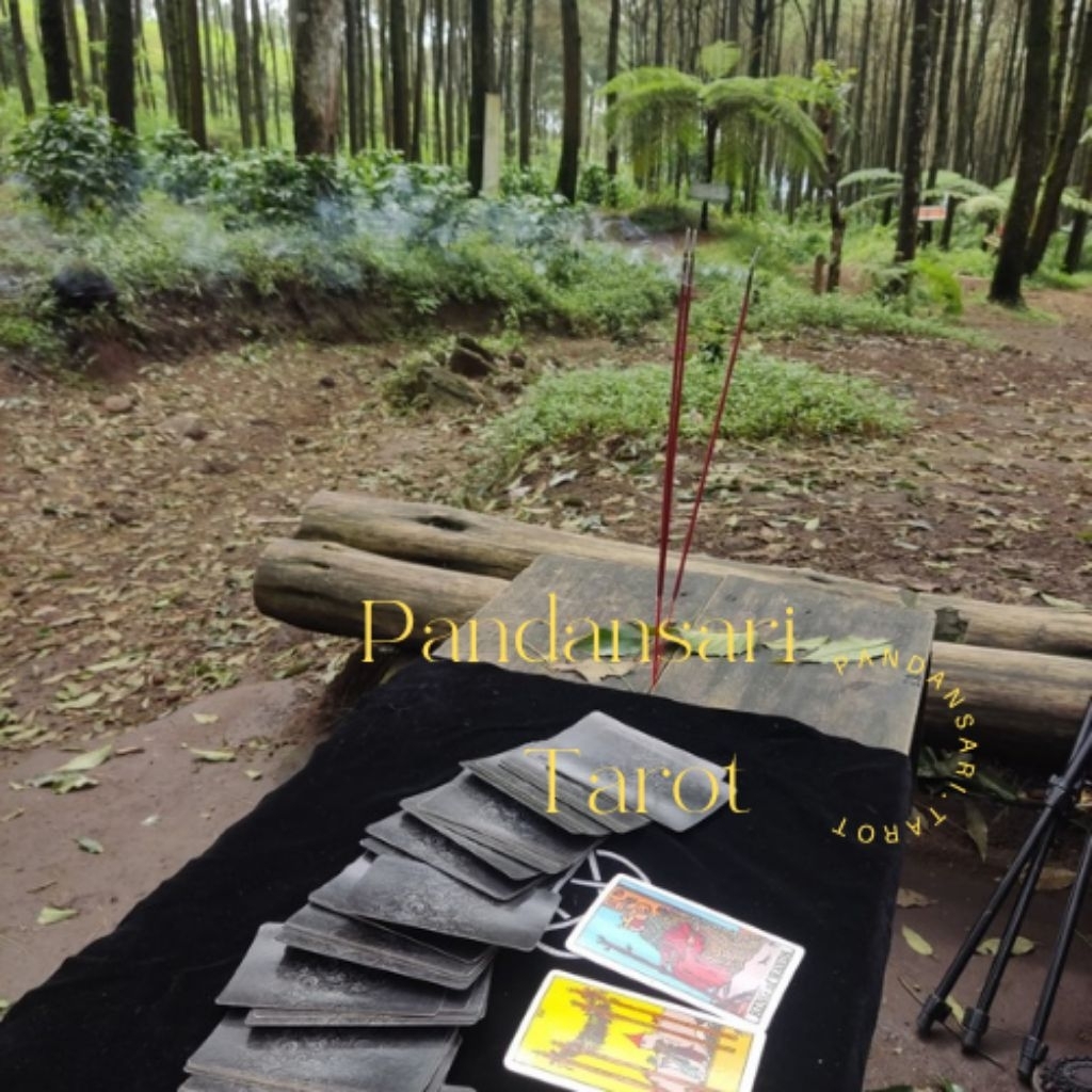 Tarot Reading / ramalan /tarot reader /tarot