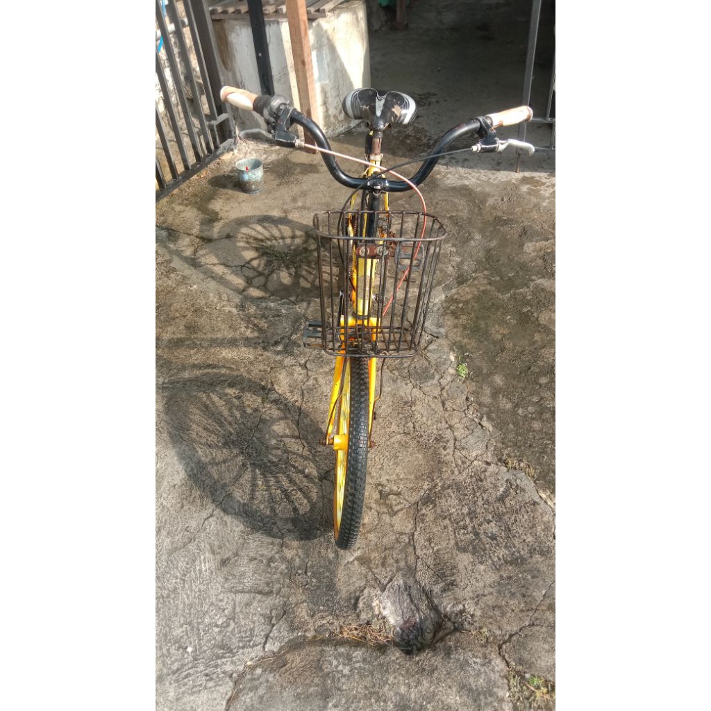 sepeda Minion vleg Aloy ring 20
