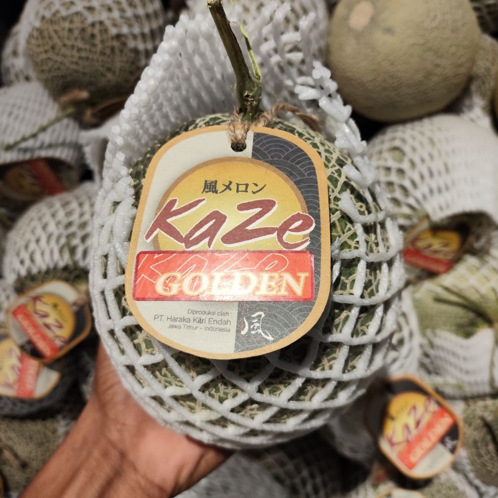 Melon kaze golden hidroponik manis segar alami melon kualitas terbaik