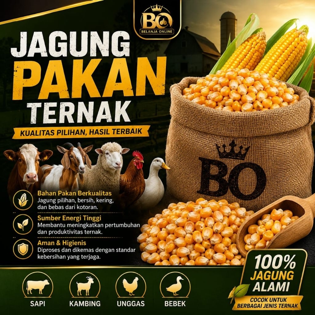 jagung  lokal kering pakan ternak