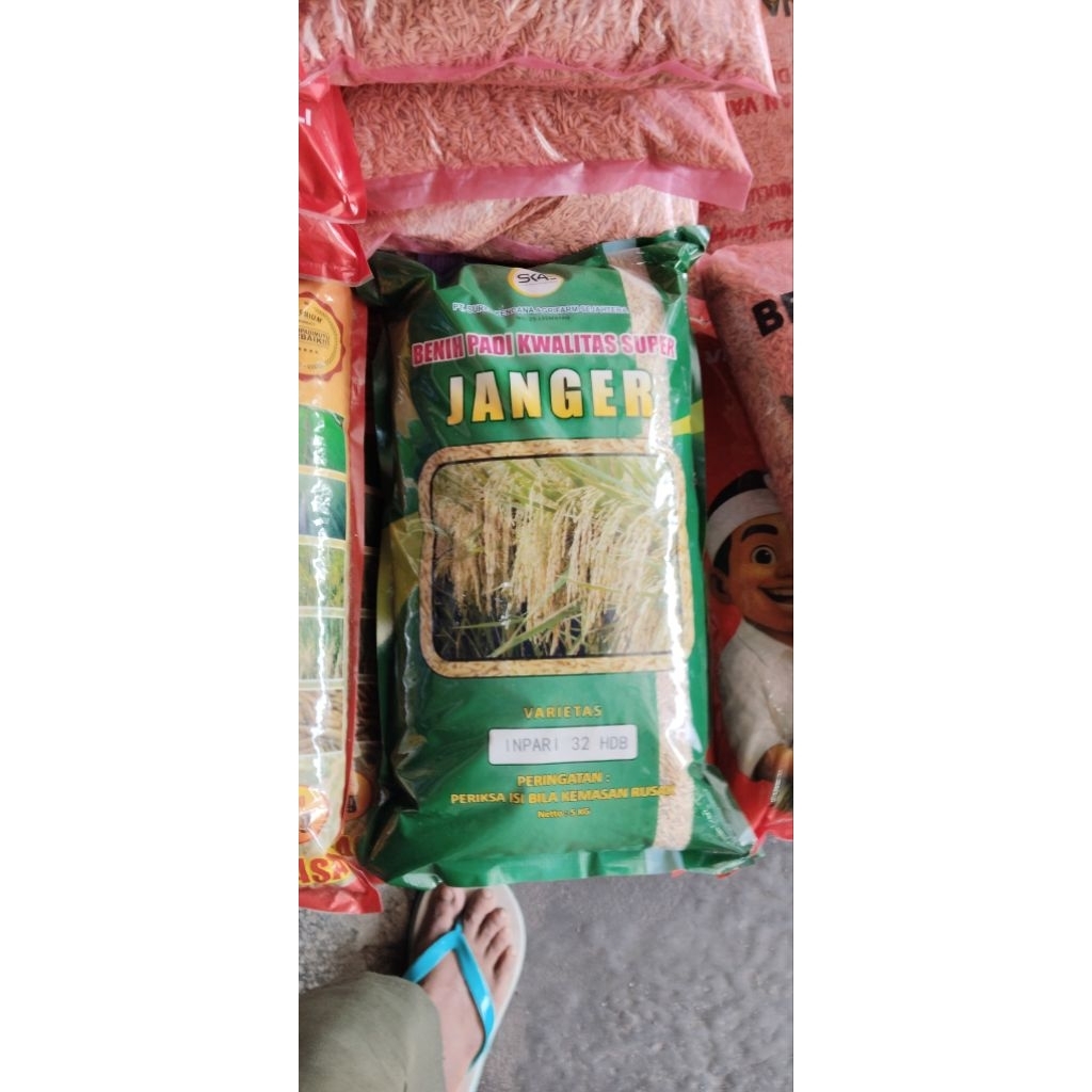 inpari 32 janger banyuwangi
