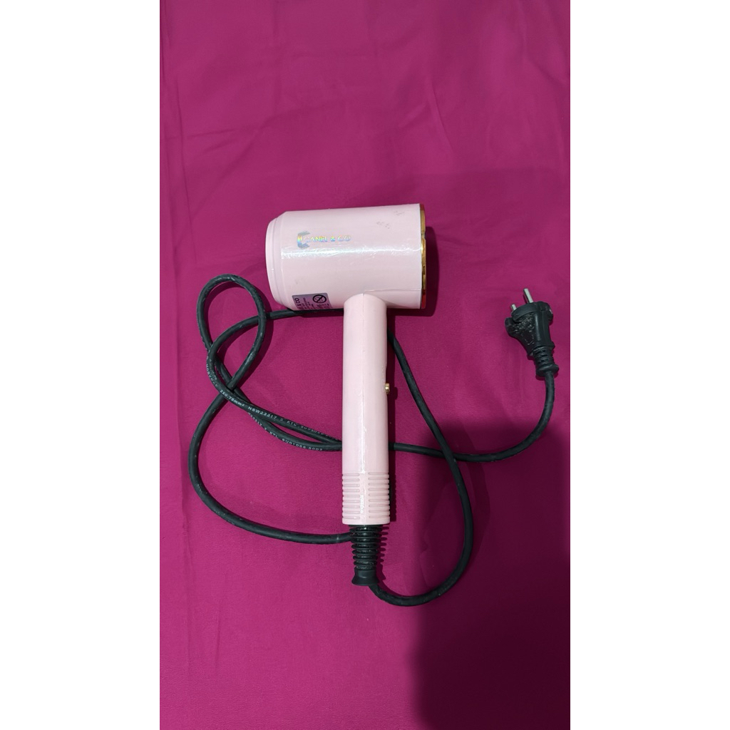 pl hair dryer canel&co