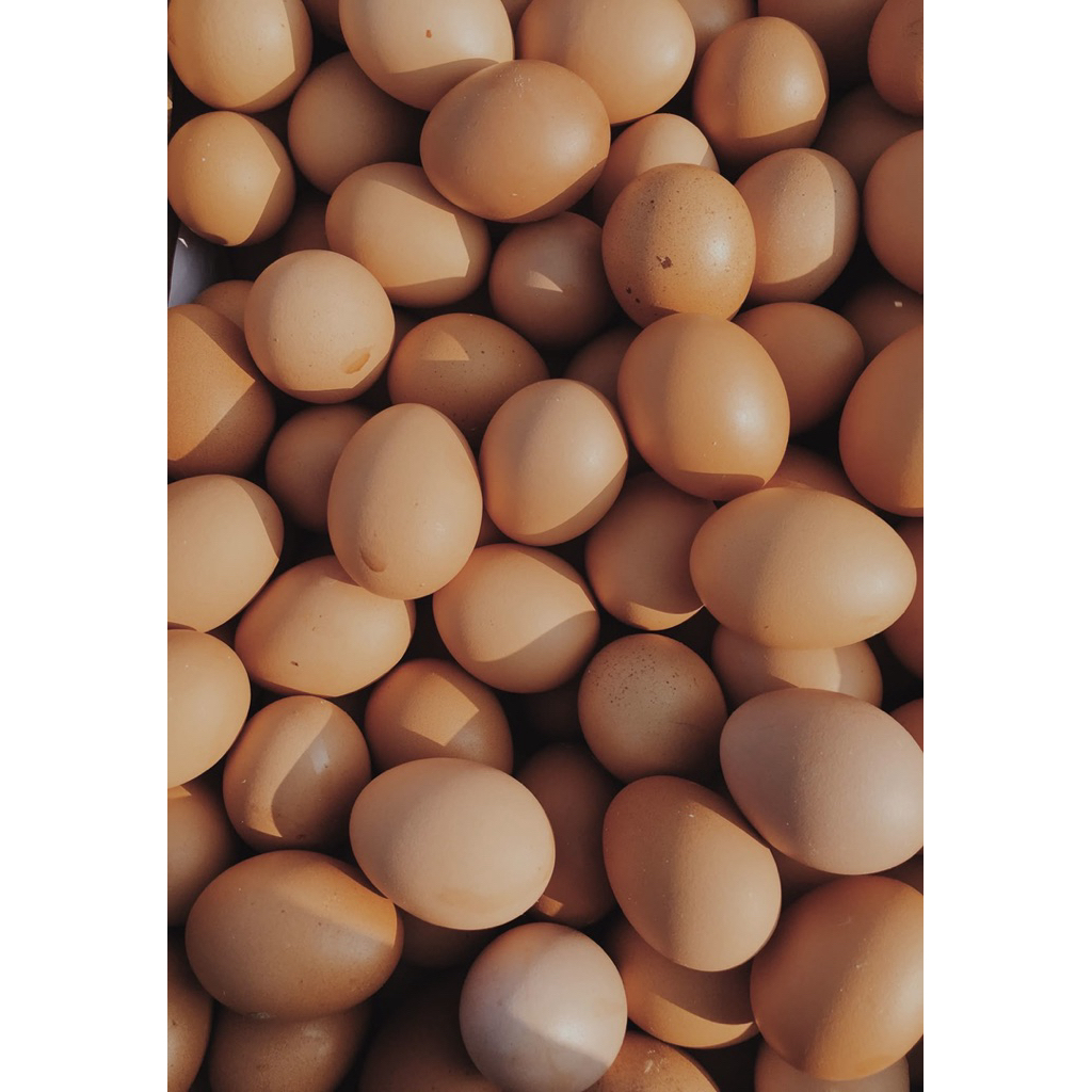 Telur Ayam Omega - Segar, Berkualitas, Tinggi Protein