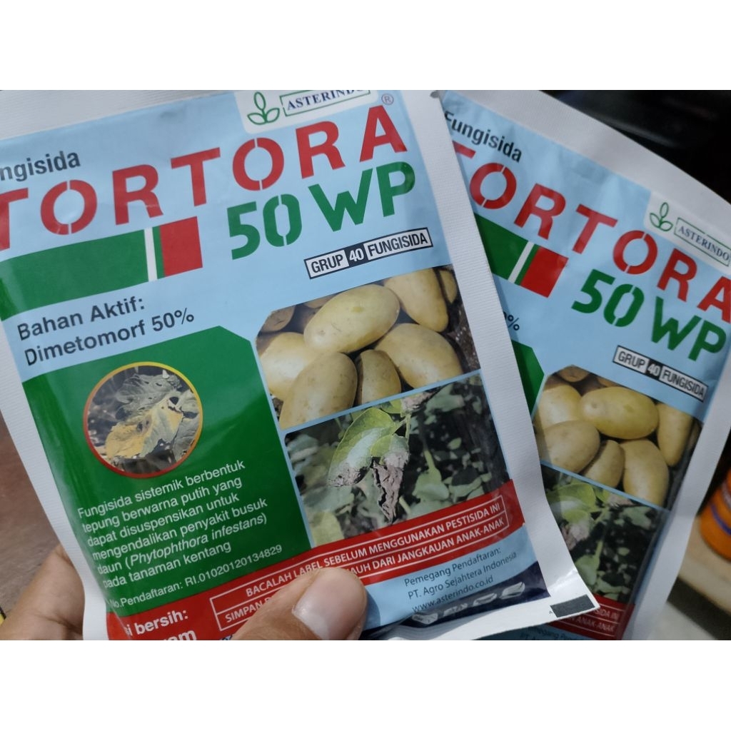 TORTORA 50WP 40GR