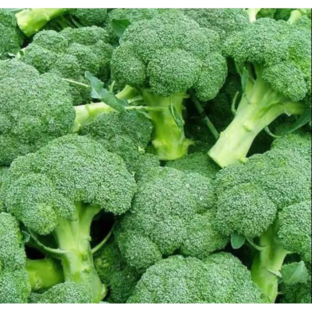 brokoli 1 kg