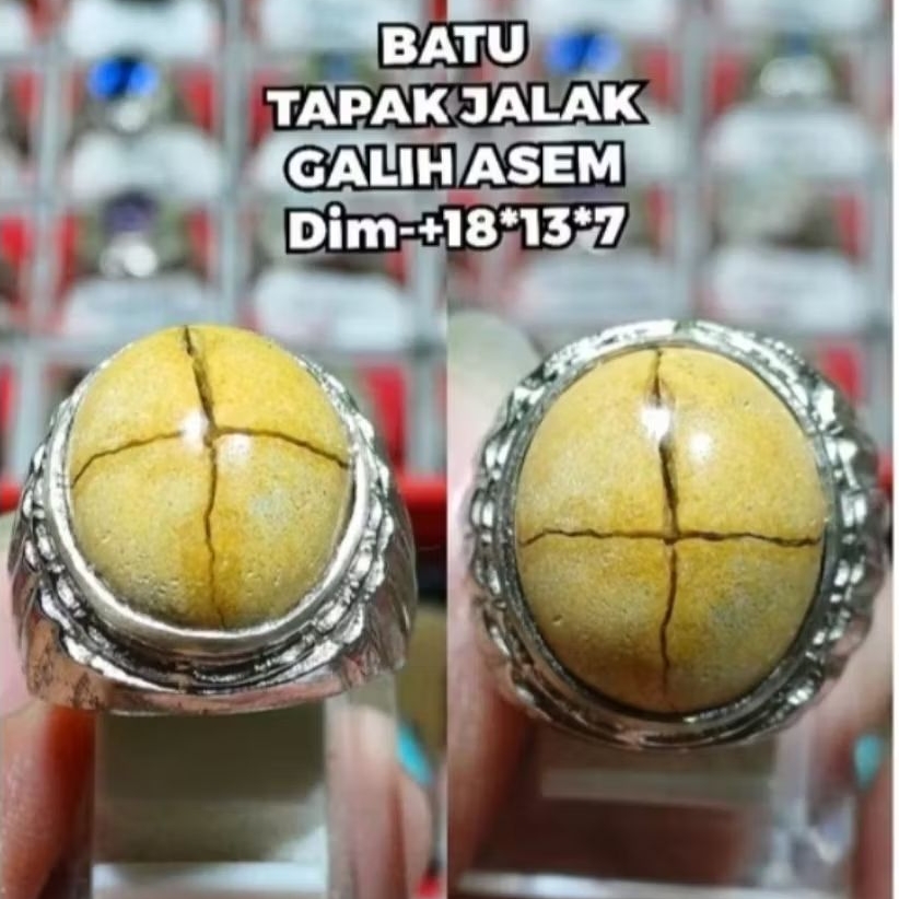 Cincin Batu Tapak Jalak Galih Asem Fokay