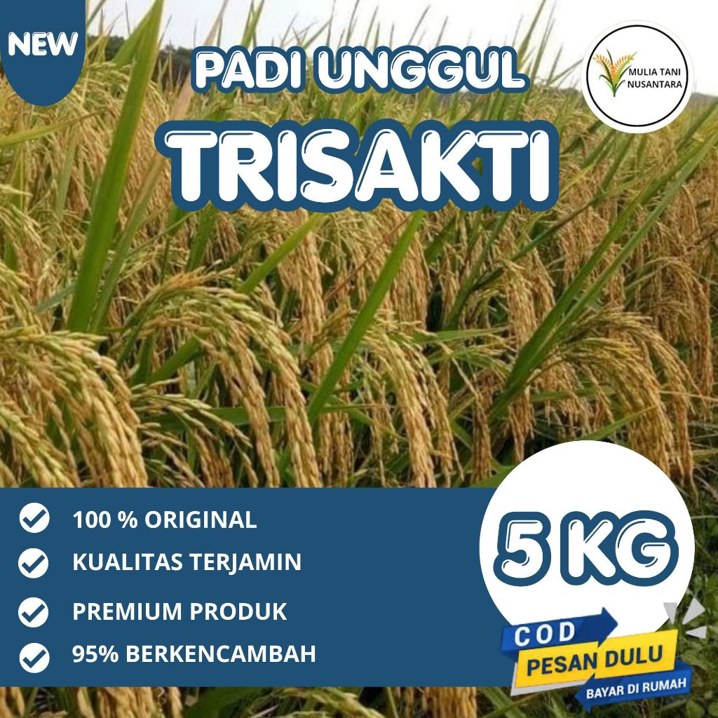 TRISAKTI Benih padi 5kg berkualitas SUPER GENJAH