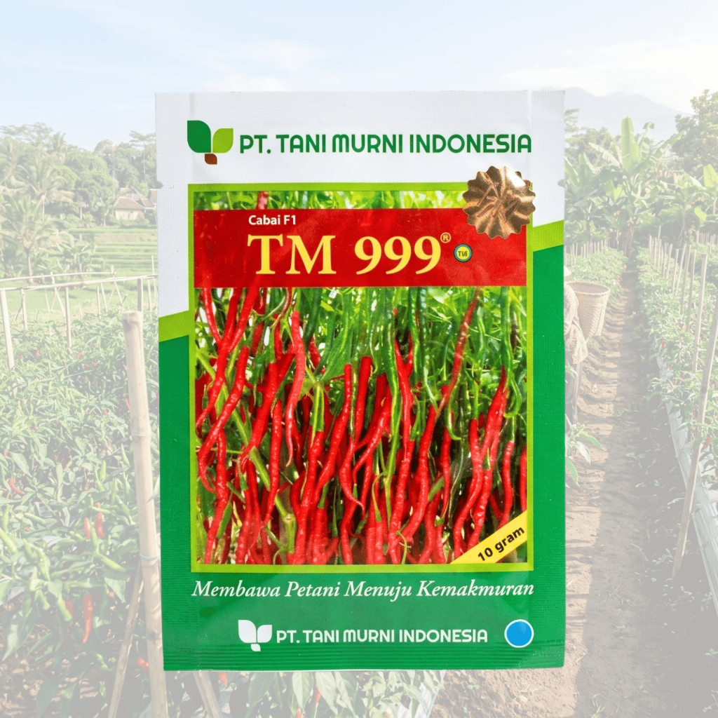 Bibit Benih Cabai Keriting TM 999 F1 10 Gram Original