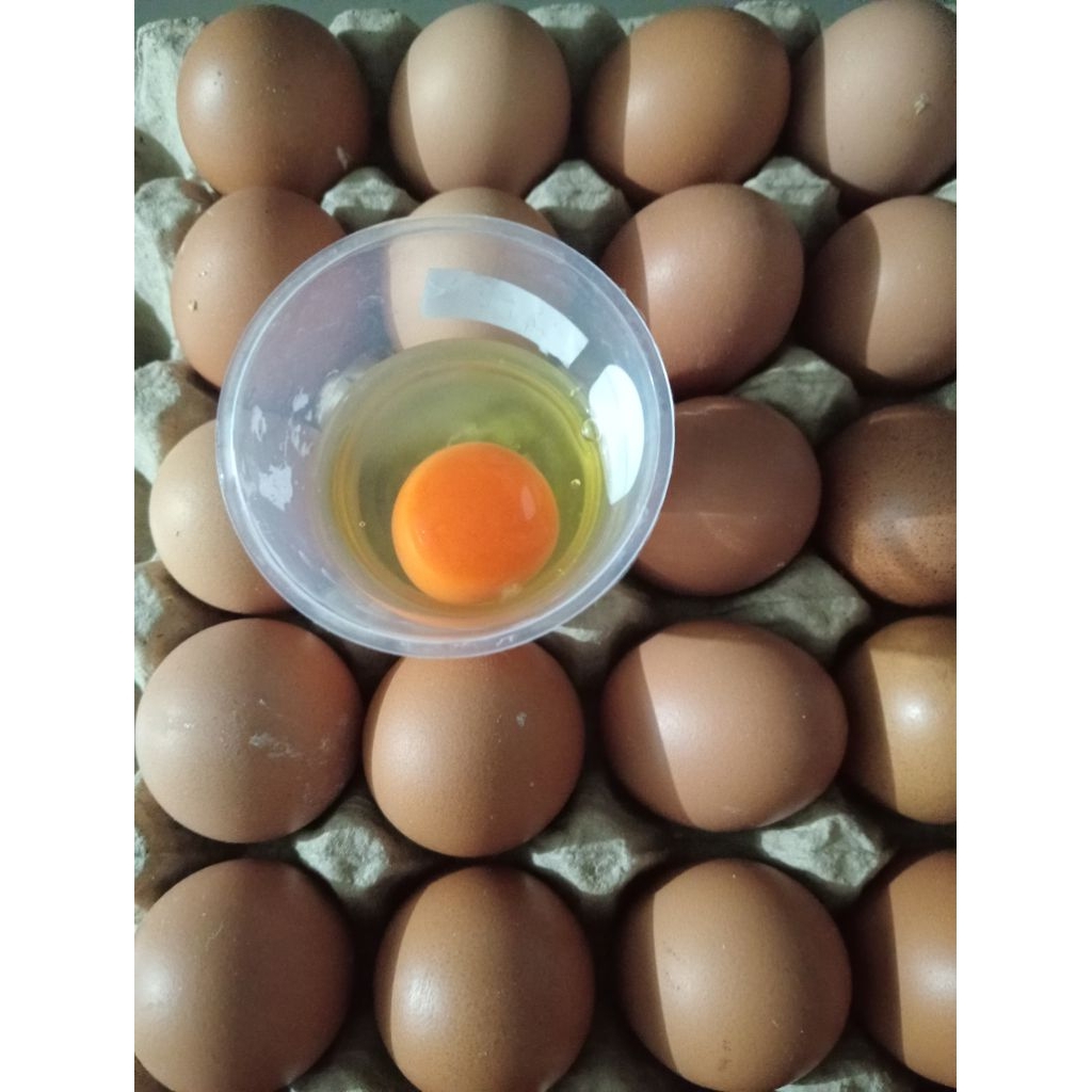 Telor Omega 1kg