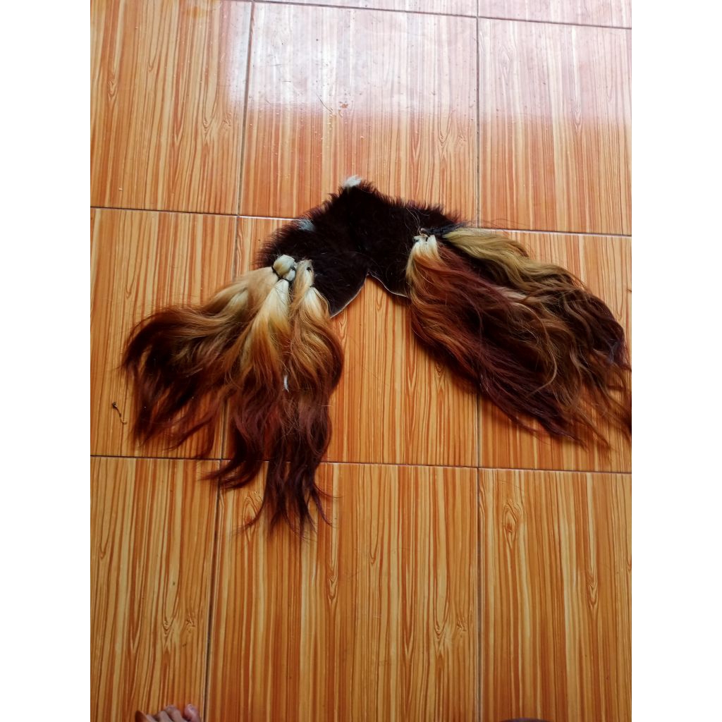 Rambut barongan Gubat Sapi Simbar