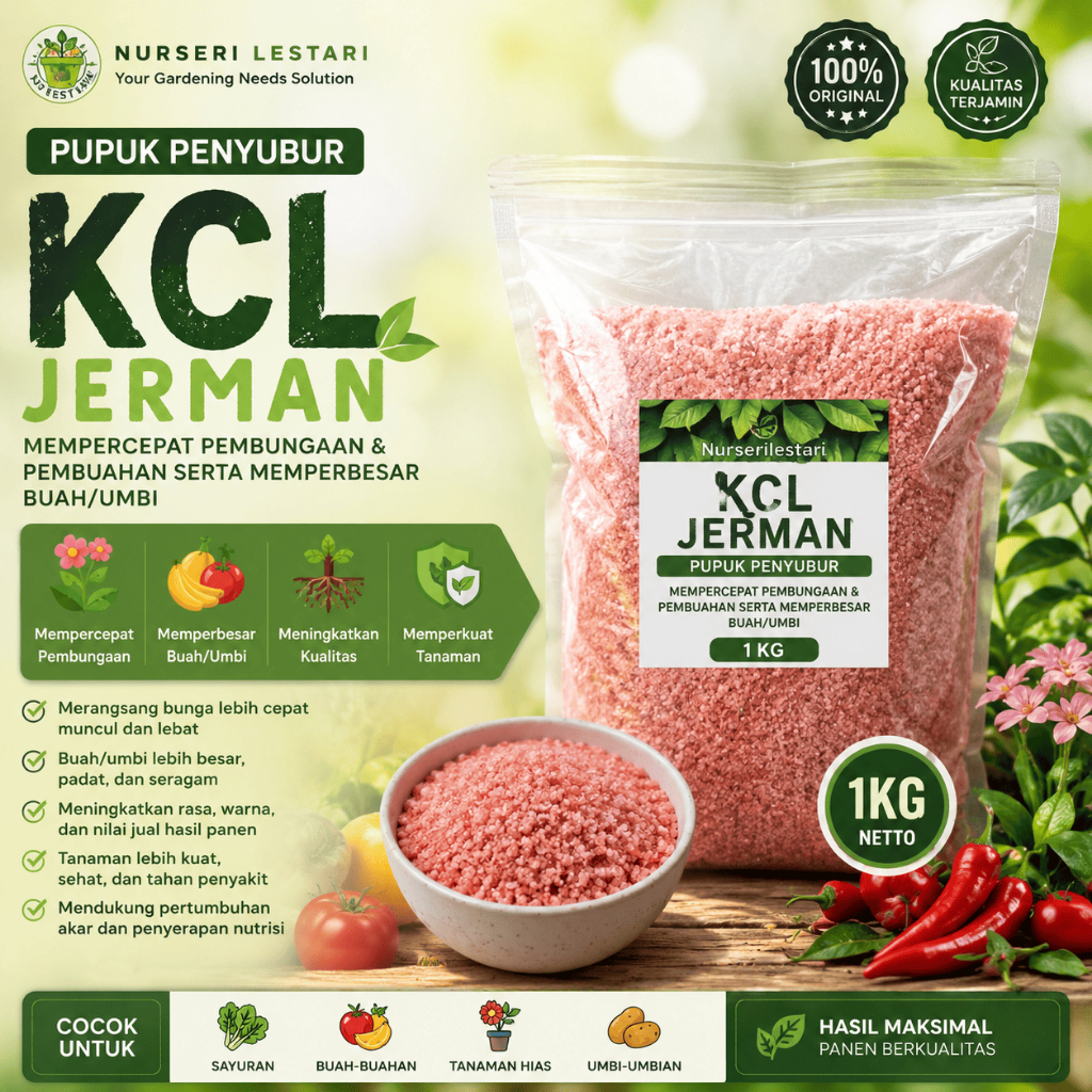 Pupuk KCL (Kalium Clorida) Super Jerman 1KG