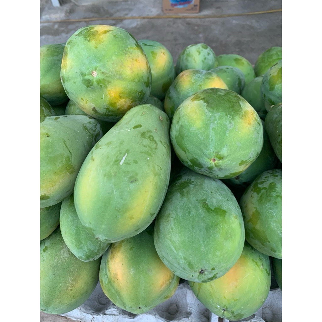 PEPAYA HAWAI